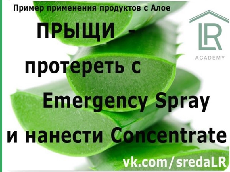 Основа под макияж